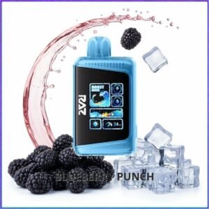 Raz DC25000 - Blueberry Punch