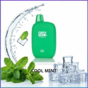 FLUM_Cool_Mint Flum Pebble - Cool Mint
