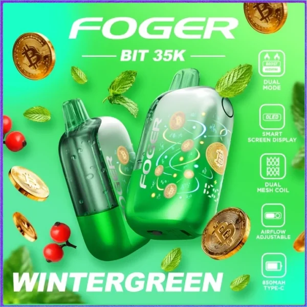 WinterGreen – Foger Bit 35K Puffs